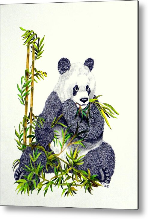 Panda Metal Print featuring the drawing Panda by Terri Mills