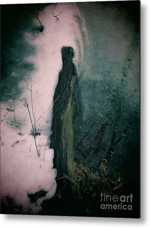 Stick Metal Print featuring the photograph Pasttense by Don Teramano