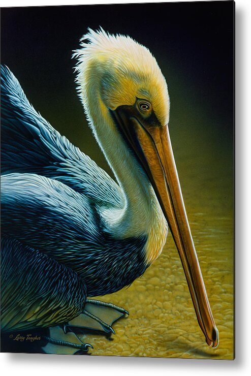 Larry Taugher Metal Print featuring the painting Pelican Detail by JQ Licensing