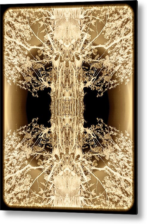 Abstract Metal Print featuring the photograph Phony Zoom by Winnie Chrzanowski