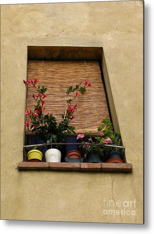 Flowers In Window Metal Print featuring the photograph Picture Window by Don Kenworthy