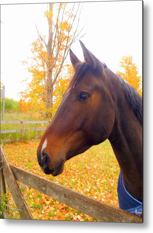 Fall Foliage Metal Print featuring the photograph Portrait of A Beauty by Lingfai Leung