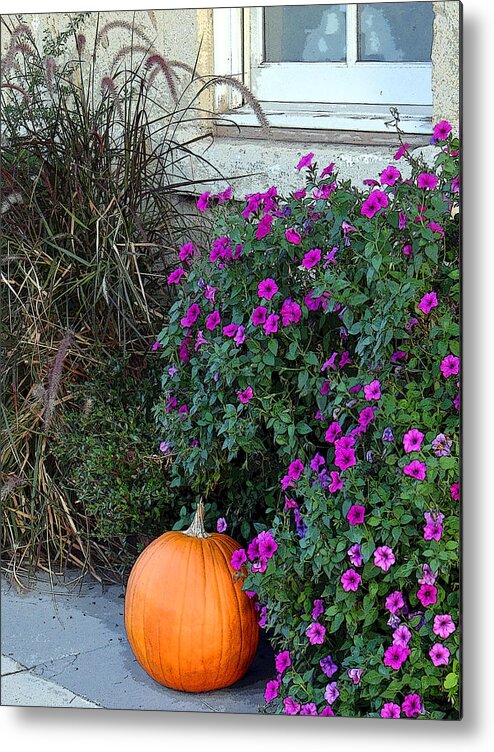 Plants Metal Print featuring the photograph Pumpkin Solo - Graphic by Tom DiFrancesca