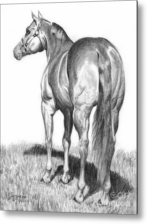 Quarterhorse Metal Print featuring the drawing Quarter Horse Assets by Suzanne Schaefer