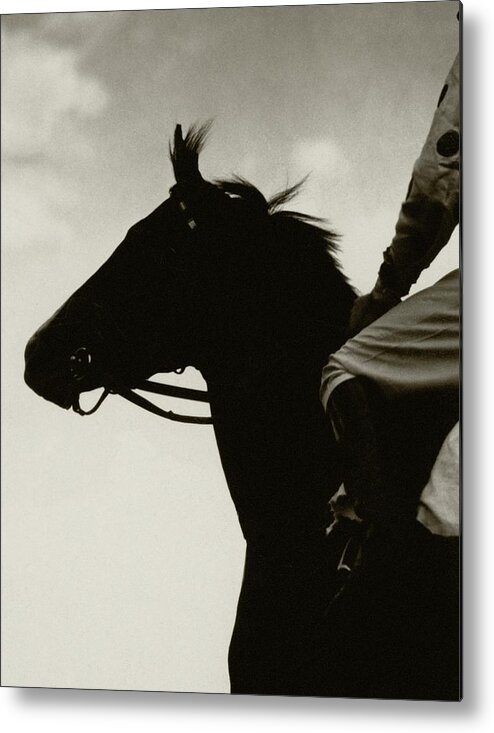 Animal Metal Print featuring the photograph Race Horse Gallant Fox by Edward Steichen