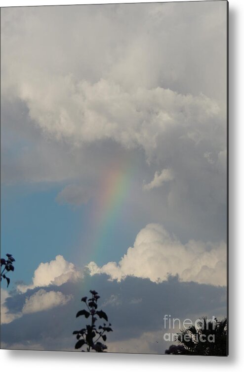 Rainbow Metal Print featuring the photograph Rainbow by Diane Lesser