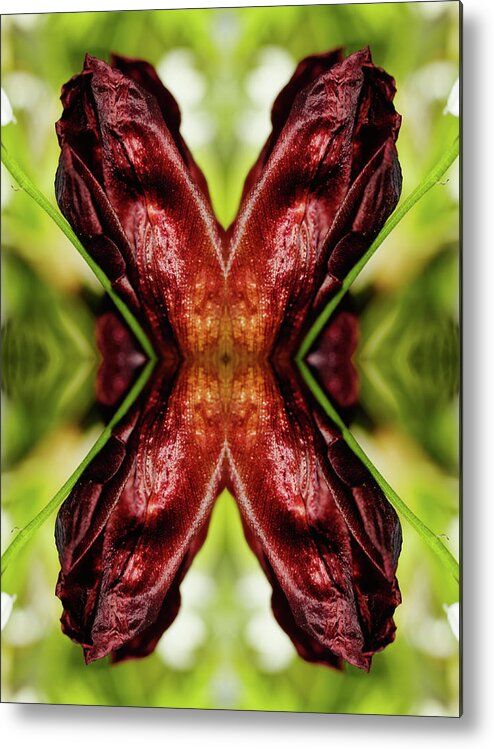 Tranquility Metal Print featuring the photograph Red Tulip by Silvia Otte