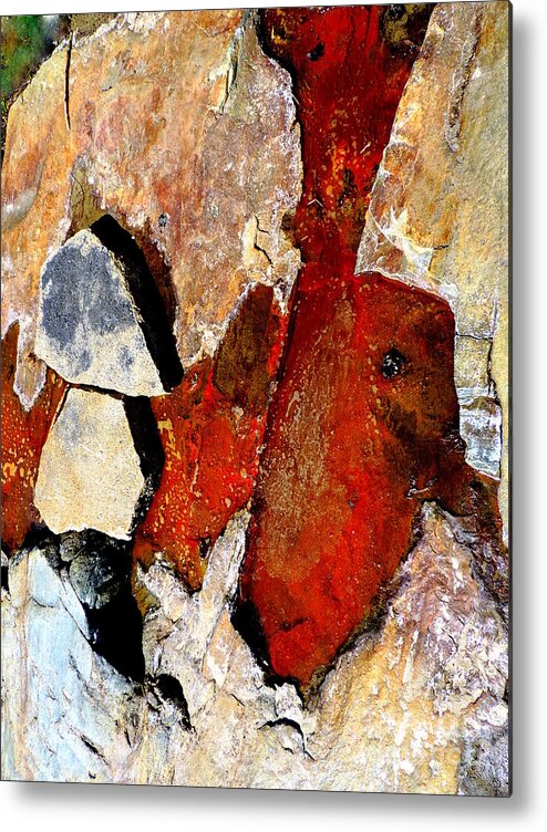 Abstract Metal Print featuring the photograph Red Veins by Marcia Lee Jones