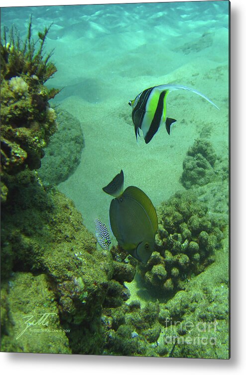 Moorish Idol Metal Print featuring the photograph Reef Life by Suzette Kallen