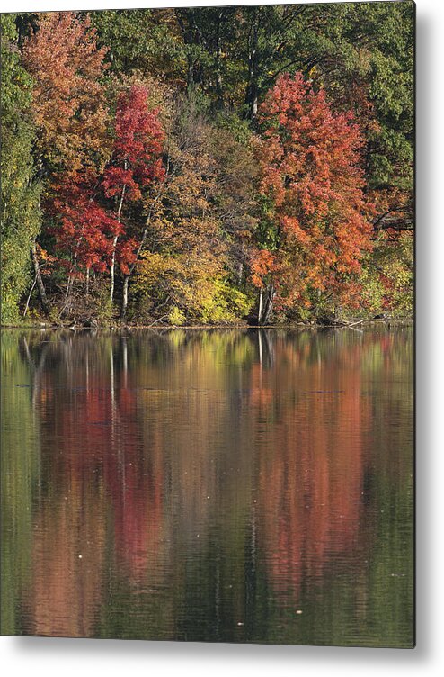 Automne Metal Print featuring the photograph Reflections d'Automne by Jean-Pierre Ducondi