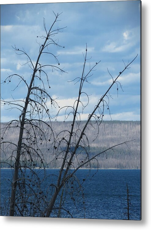 Yellowstone National Park Metal Print featuring the photograph Remnants of the Fire by Laurel Powell