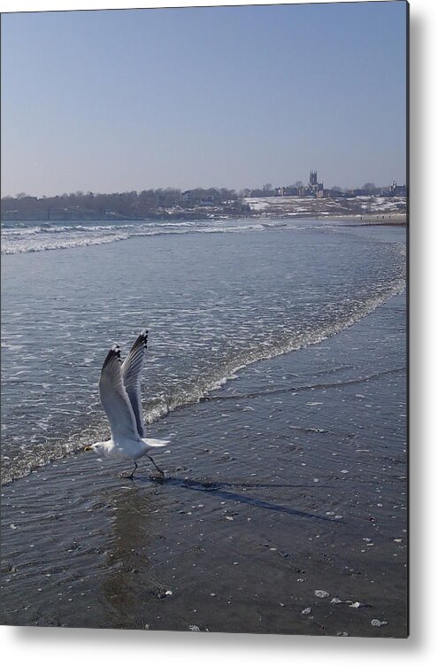 Seagull Metal Print featuring the photograph Seagull 1 by Robert Nickologianis