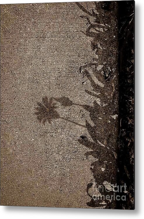 Natural Theme Metal Print featuring the photograph Shadow No.38 by Fei A