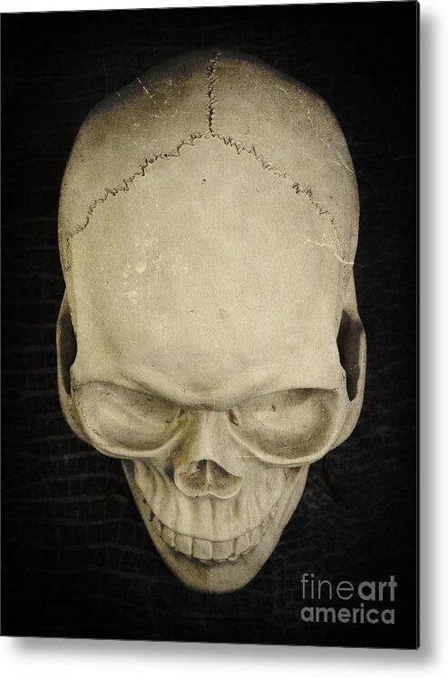 Halloween Metal Print featuring the photograph Skull by Edward Fielding