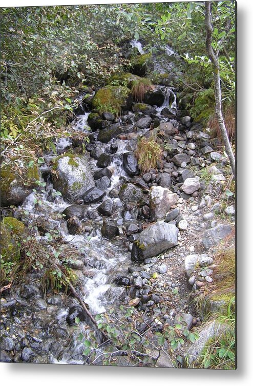 Landscape Metal Print featuring the photograph Small glacial stream by Annika Farmer