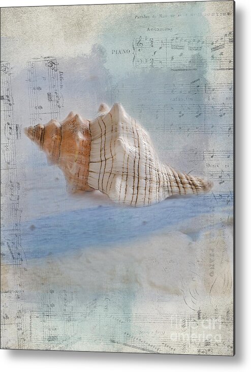 Sea Shell Metal Print featuring the photograph Songs of the Sea by Betty LaRue