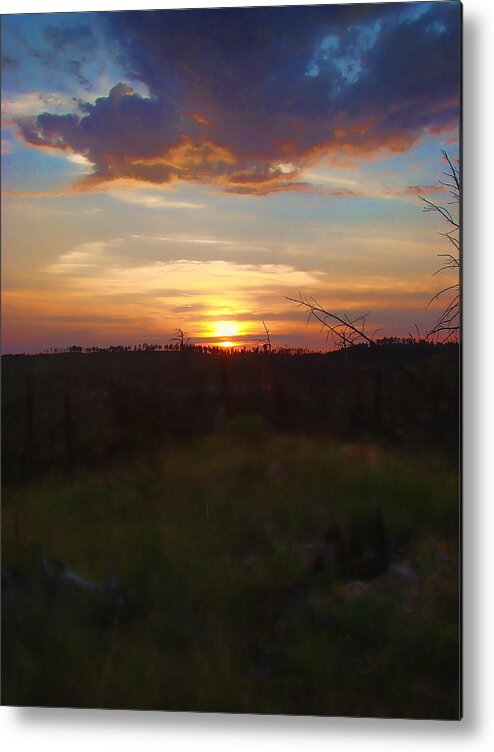 Sunset Metal Print featuring the photograph South Dakota Sunset 2 by Cathy Anderson