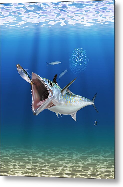 Spanish Mackerel Metal Print featuring the painting Spanish Mackerel by Hayden Hammond