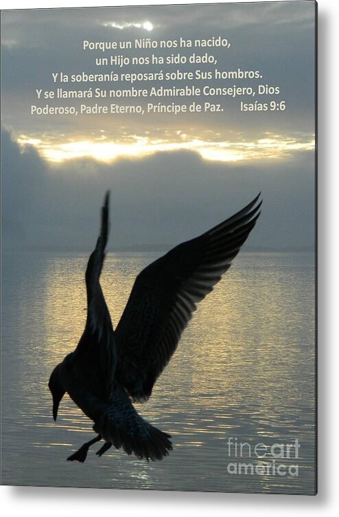 Spanish Metal Print featuring the photograph Spanish Seagull by Gallery Of Hope 