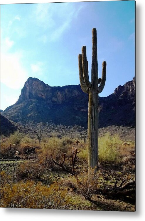standing Tall Metal Print featuring the photograph Standing Tall - Saguaro by Glenn McCarthy Art and Photography