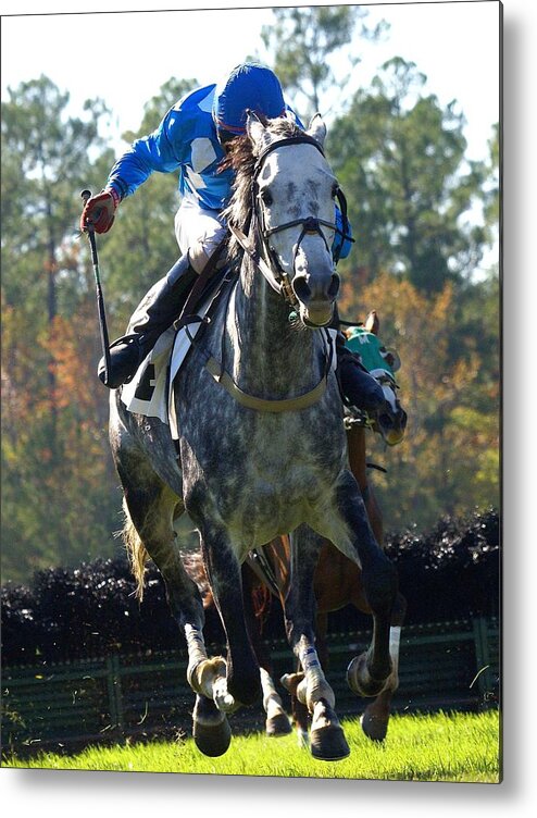 Steeplechase Metal Print featuring the photograph Steeplechase by Robert L Jackson