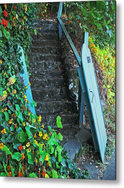 Garden Metal Print featuring the photograph Steps to Somewhere by Connie Fox