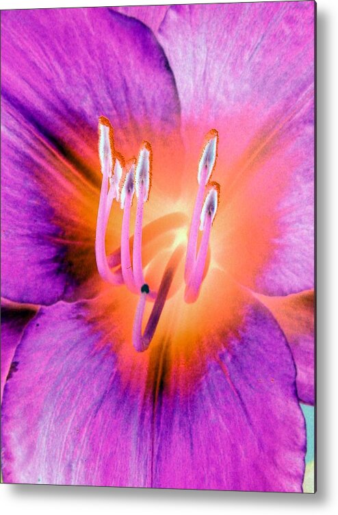 Flower Metal Print featuring the photograph Stigma - PhotoPower 1073 by Pamela Critchlow