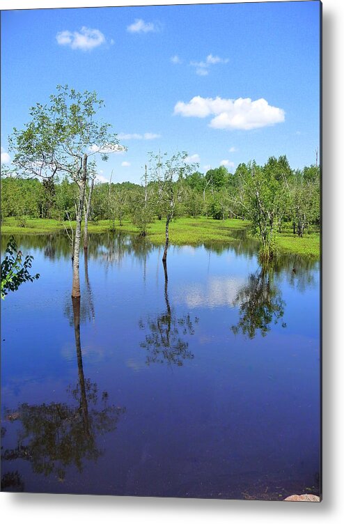 Blue Sky Metal Print featuring the photograph Still Waters by Jim Whalen