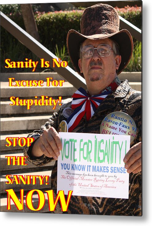 Humour Metal Print featuring the photograph Stop the Sanity by Jim Williams