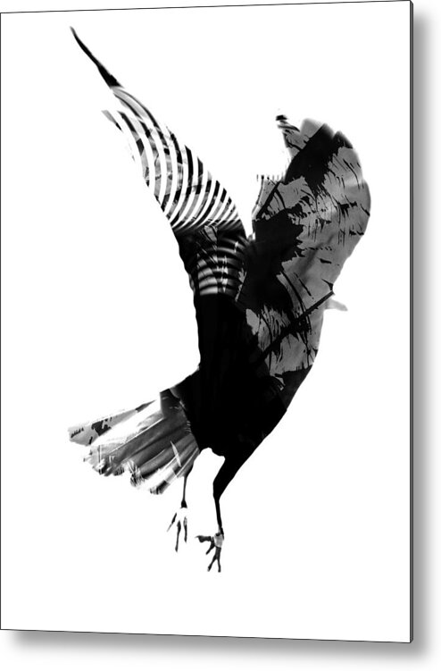 Crow Metal Print featuring the photograph Street Crow by J C