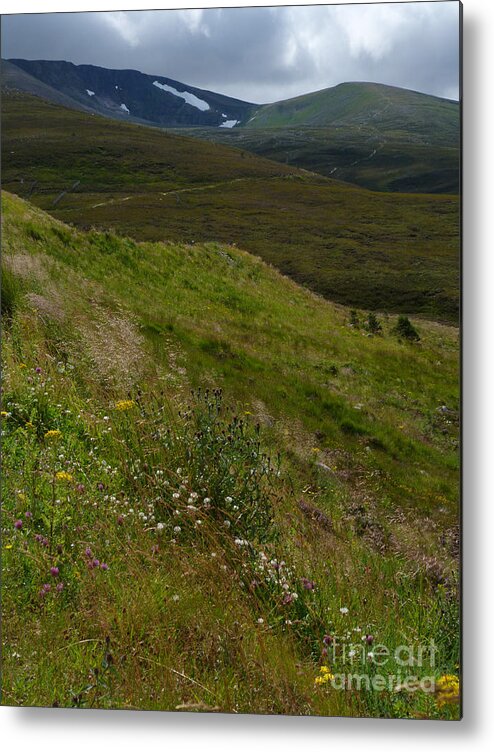 Seasons Metal Print featuring the photograph Summer snow patches - Cairngorm Mountains by Phil Banks