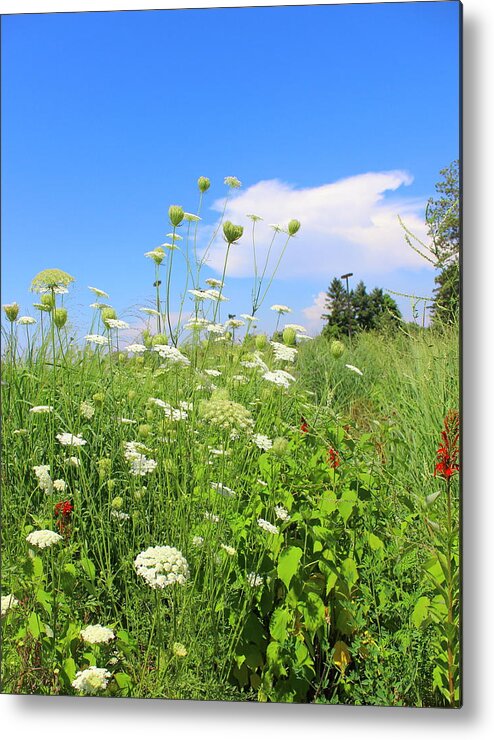 Views Metal Print featuring the photograph Summer Wildflowers by Kume Bryant