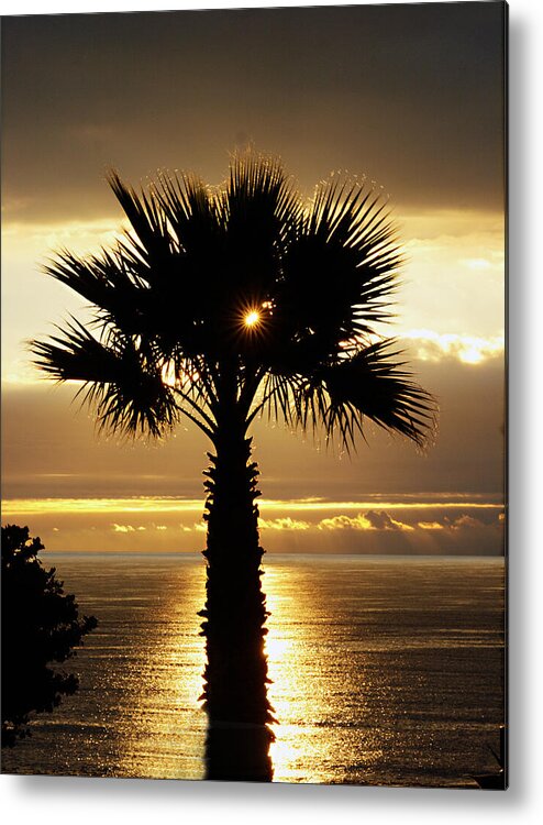 Royal Palms Metal Print featuring the photograph Sun and Palm and Sea by Joe Schofield