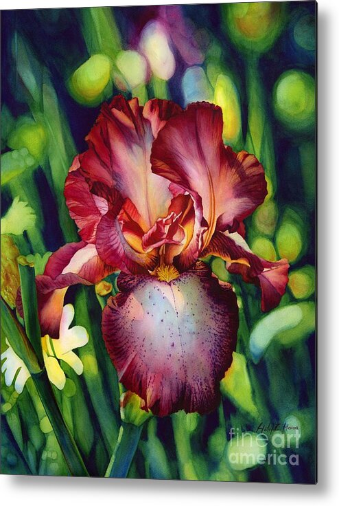 Iris Metal Print featuring the painting Sunlit Iris by Hailey E Herrera