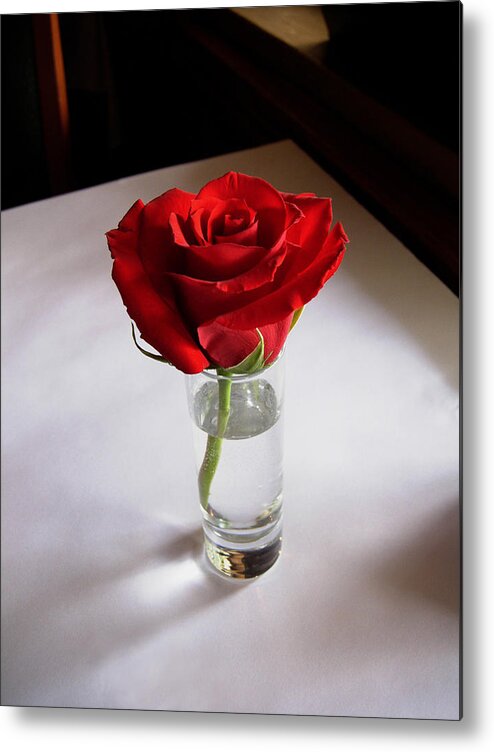 Rose Metal Print featuring the photograph Table Rose by Joe Ownbey