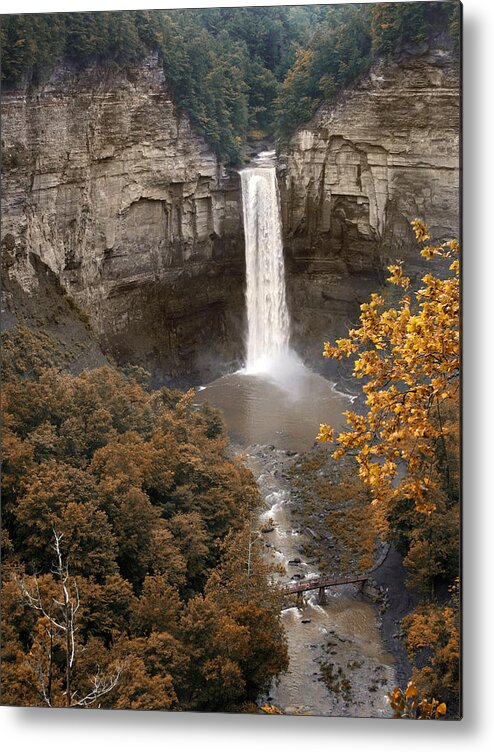 Landscape Metal Print featuring the photograph Taughannock Falls Park by Jessica Jenney