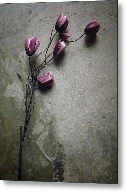 Still Life Metal Print featuring the photograph The Elegant Tulip by Kahar Lagaa