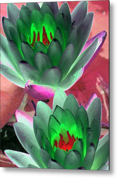 Water Lilies Metal Print featuring the photograph The Water Lilies Collection - PhotoPower 1121 by Pamela Critchlow