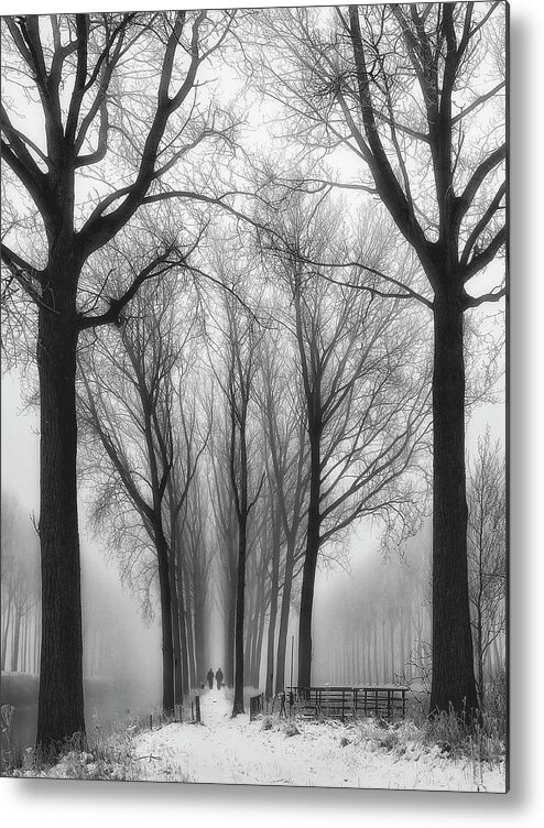 Belgium Metal Print featuring the photograph Then Winter Comes by Yvette Depaepe