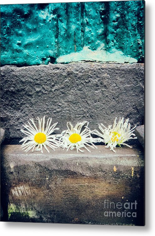 Copy Space Metal Print featuring the photograph Three daisies stuck in a door by Silvia Ganora