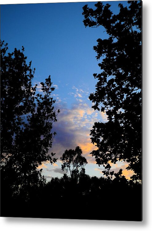 Landscape Metal Print featuring the photograph Three Trees by Mark Blauhoefer