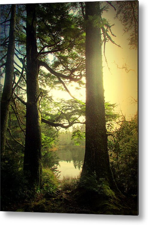 Lake Metal Print featuring the photograph Through The Forest To The Lake by Joyce Dickens