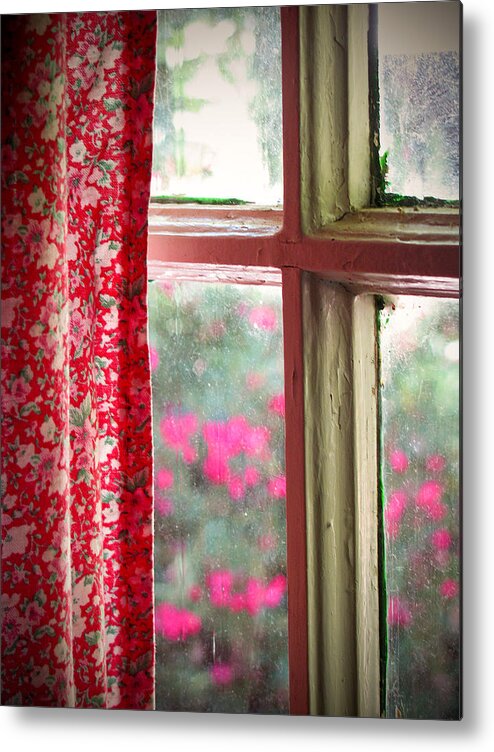 Window Metal Print featuring the photograph Through the Window by Lisa Chorny