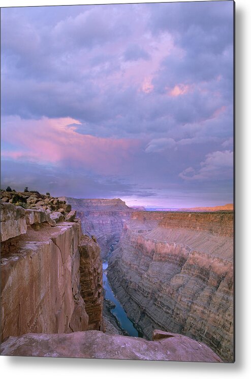 Feb0514 Metal Print featuring the photograph Toroweap Overlook Grand Canyon Nparizona by Tim Fitzharris