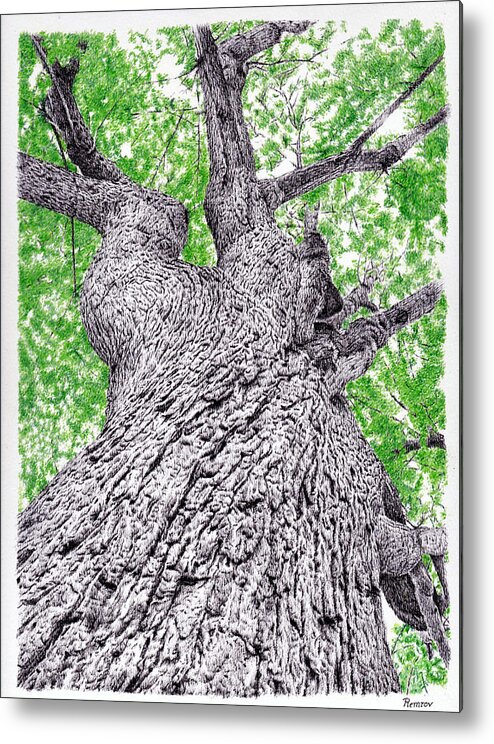Tree Metal Print featuring the drawing Tree pen drawing 4 by Casey 'Remrov' Vormer