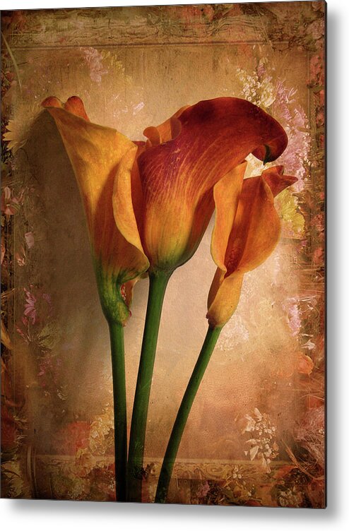 Flower Metal Print featuring the photograph Vintage Calla Lily by Jessica Jenney