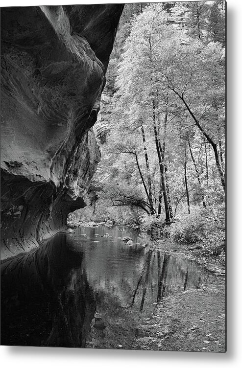 Landscape Metal Print featuring the photograph West Fork Reflections - Black and White by Harold Rau