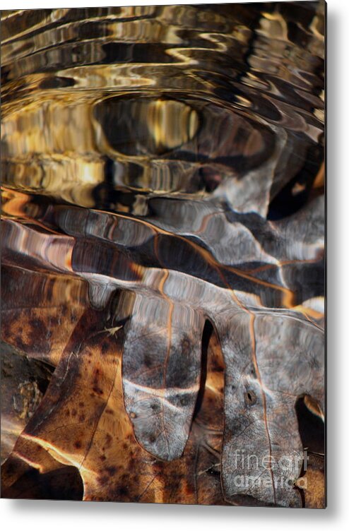 Water Metal Print featuring the photograph White Oak by Fred Sheridan
