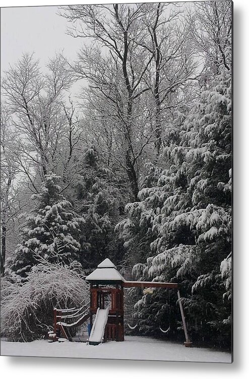 Winter Metal Print featuring the photograph Winter In Swing by Dani McEvoy