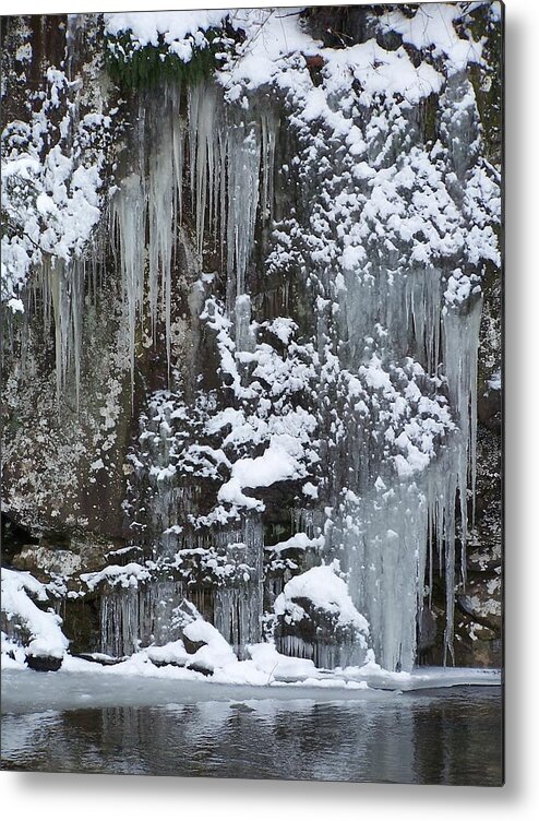 Ice Metal Print featuring the photograph Winter Storm by Jewels Hamrick